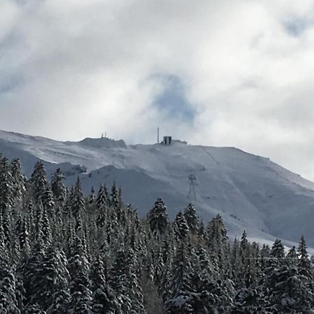 Le Lioran Studio Les Myrtilles A 200M Des Pistes Exterior foto